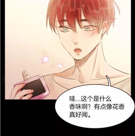 《爱情与友情之间》漫画最新章节第19话免费下拉式在线观看章节第【68】张图片