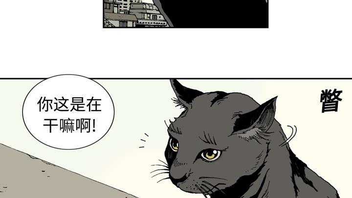 《玄林之星》漫画最新章节第2话免费下拉式在线观看章节第【6】张图片