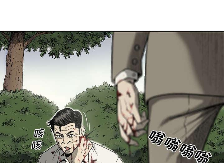 《玄林之星》漫画最新章节第45话免费下拉式在线观看章节第【19】张图片