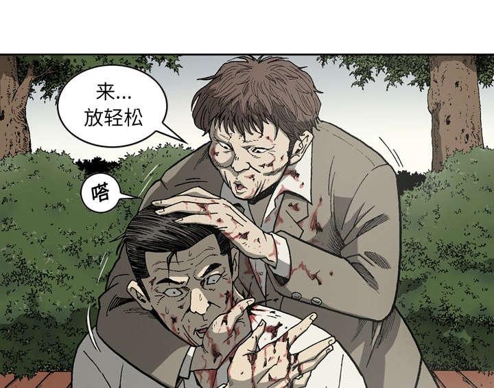 《玄林之星》漫画最新章节第45话免费下拉式在线观看章节第【12】张图片