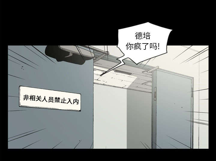 《玄林之星》漫画最新章节第73话免费下拉式在线观看章节第【39】张图片