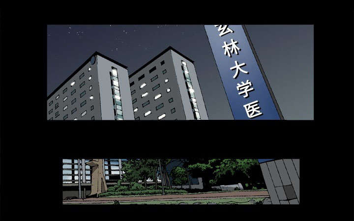 《玄林之星》漫画最新章节第74话免费下拉式在线观看章节第【23】张图片