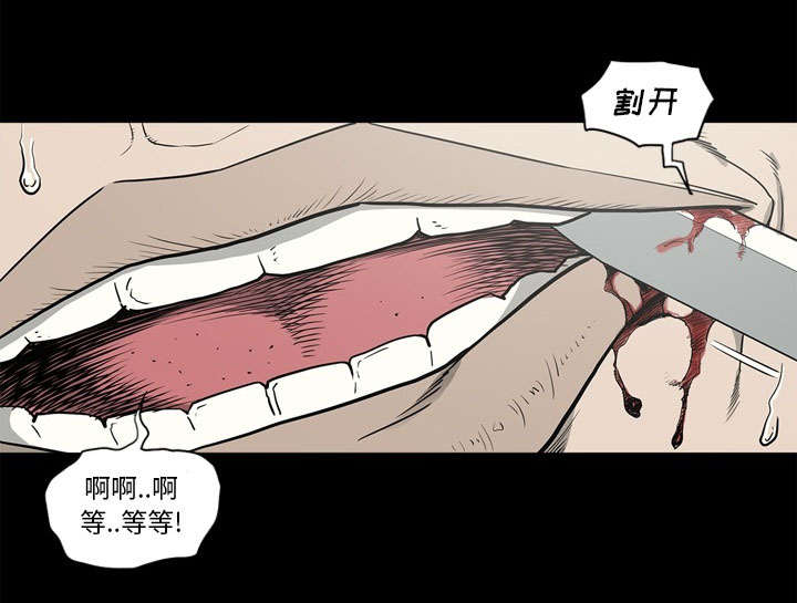 《玄林之星》漫画最新章节第78话免费下拉式在线观看章节第【38】张图片