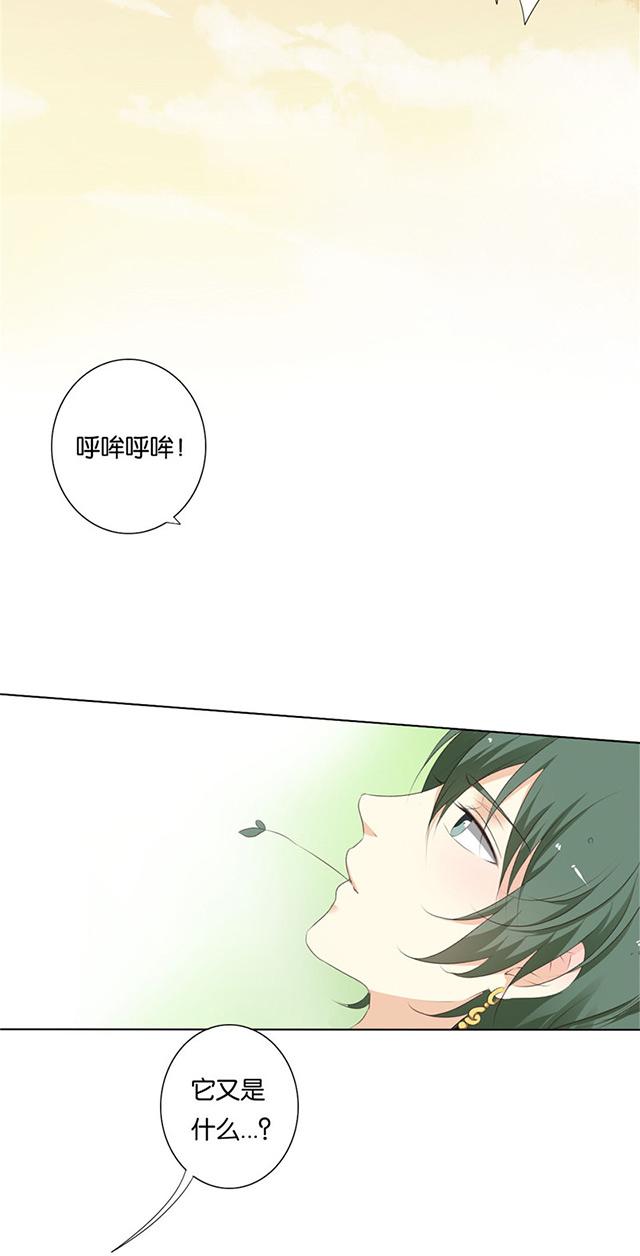 《茗心录》漫画最新章节第3话 随遇而安免费下拉式在线观看章节第【8】张图片