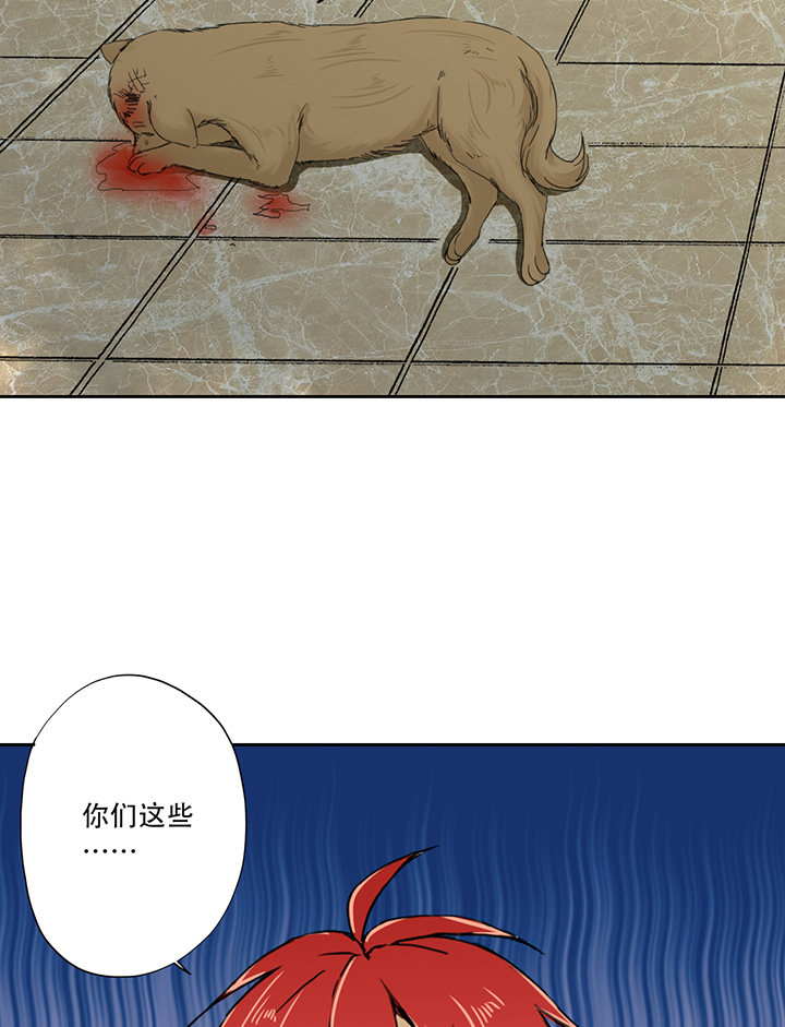 《医生与不良少年》漫画最新章节第19话免费下拉式在线观看章节第【17】张图片