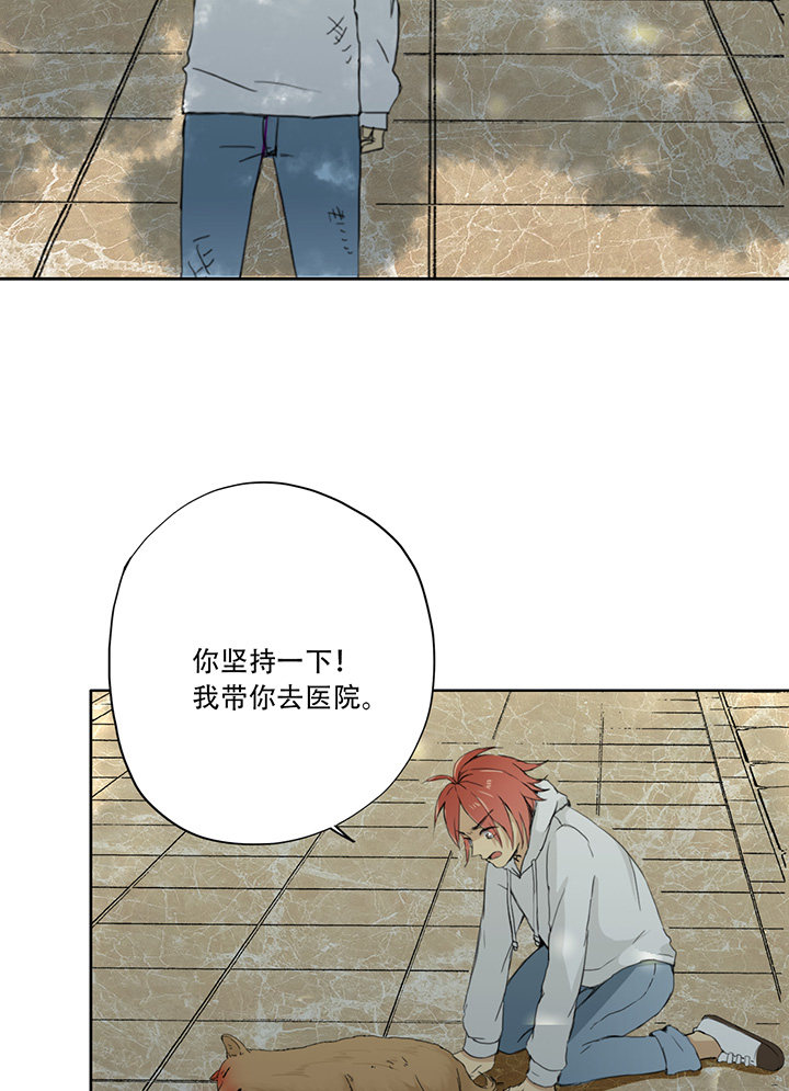 《医生与不良少年》漫画最新章节第19话免费下拉式在线观看章节第【14】张图片