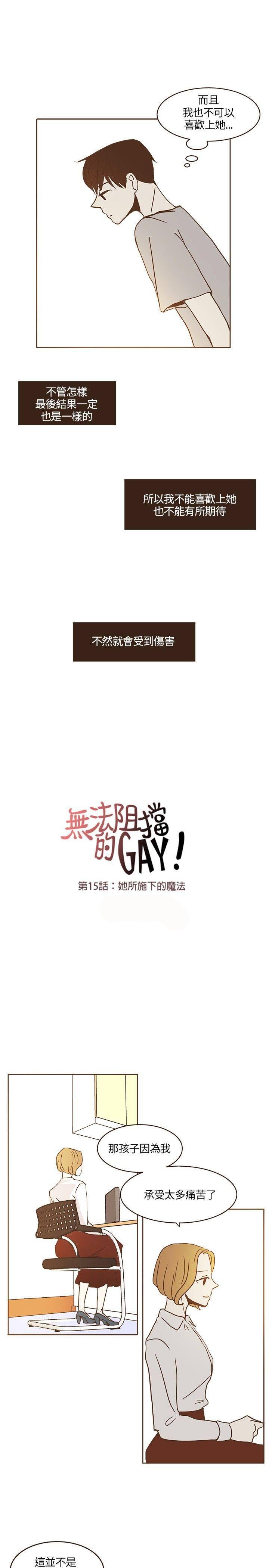 《无法阻挡的Gay》漫画最新章节第15话免费下拉式在线观看章节第【15】张图片
