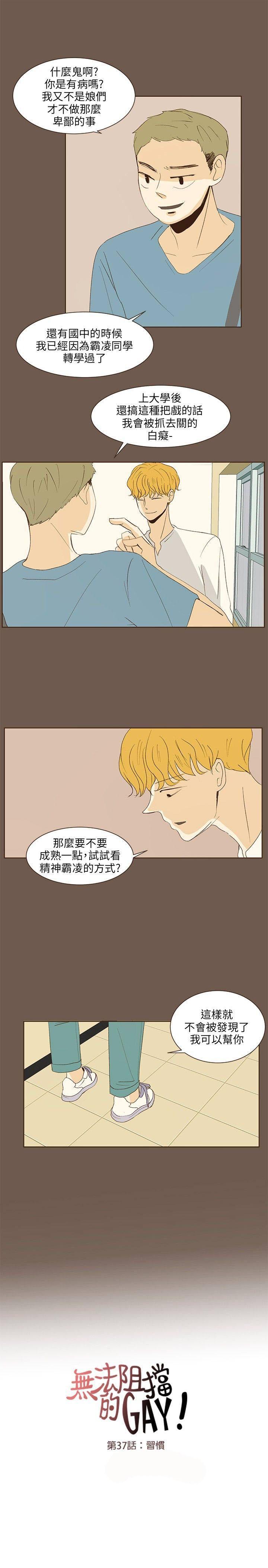 《无法阻挡的Gay》漫画最新章节第37话免费下拉式在线观看章节第【5】张图片