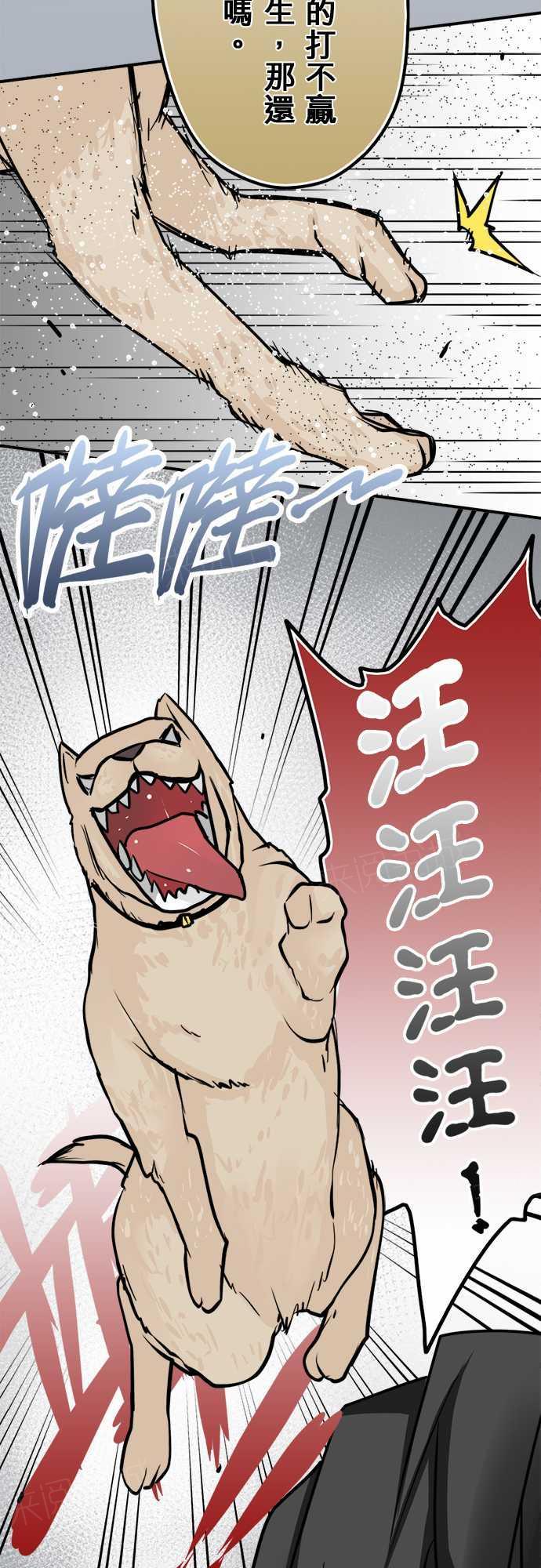 《冥婚警戒中》漫画最新章节第37话免费下拉式在线观看章节第【5】张图片