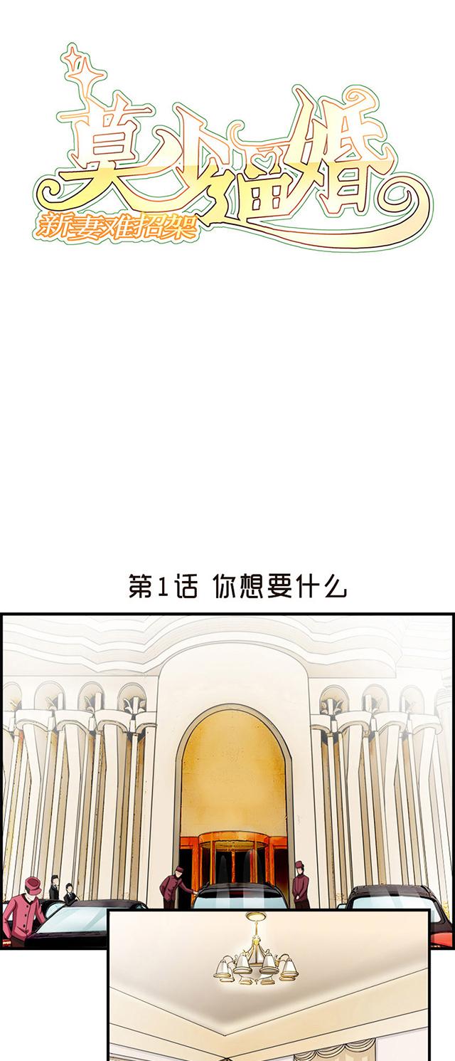 《莫少逼婚，新妻难招架》漫画最新章节第1话 你想要什么免费下拉式在线观看章节第【24】张图片