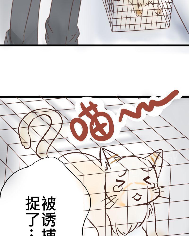 《逗腐教室》漫画最新章节第18话免费下拉式在线观看章节第【34】张图片