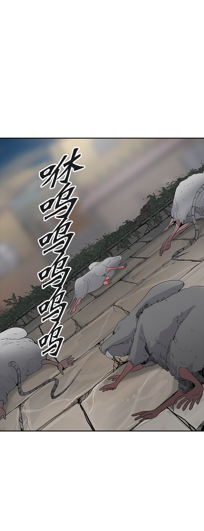 《神之塔》漫画最新章节第357话免费下拉式在线观看章节第【19】张图片