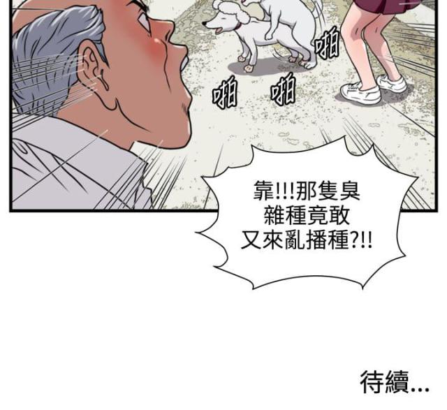 《痞子苍蝇》漫画最新章节第15话免费下拉式在线观看章节第【15】张图片