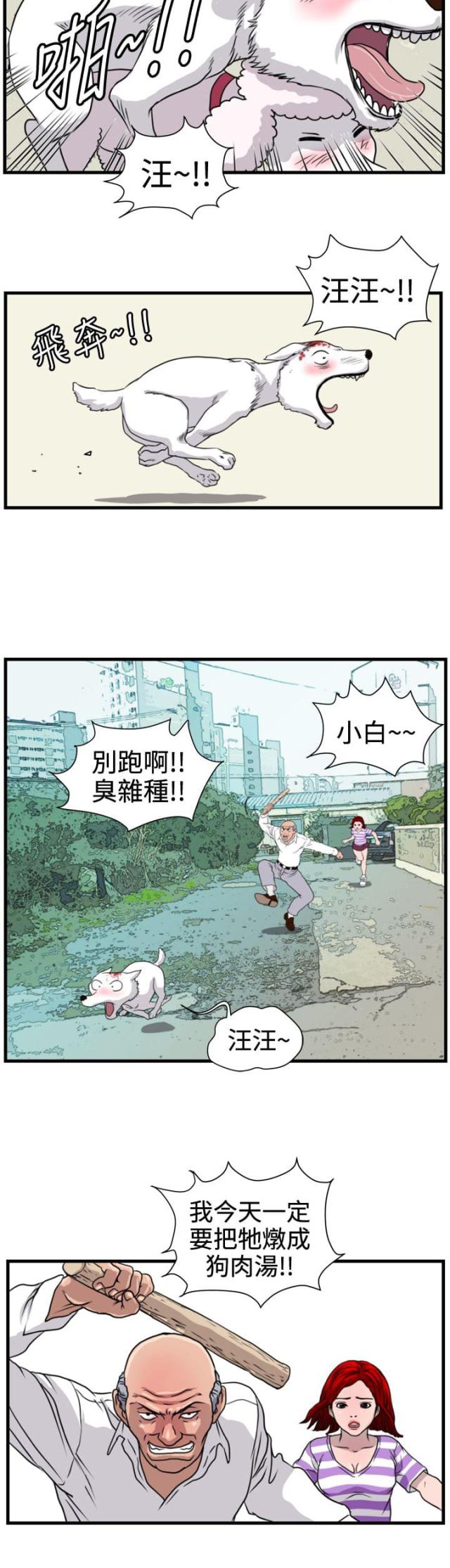 《痞子苍蝇》漫画最新章节第15话免费下拉式在线观看章节第【13】张图片