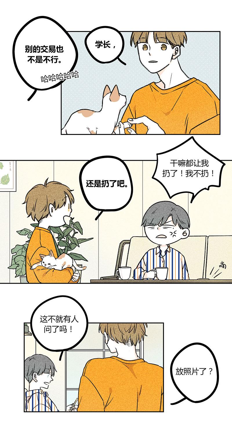 《yes or no》漫画最新章节第12话免费下拉式在线观看章节第【5】张图片