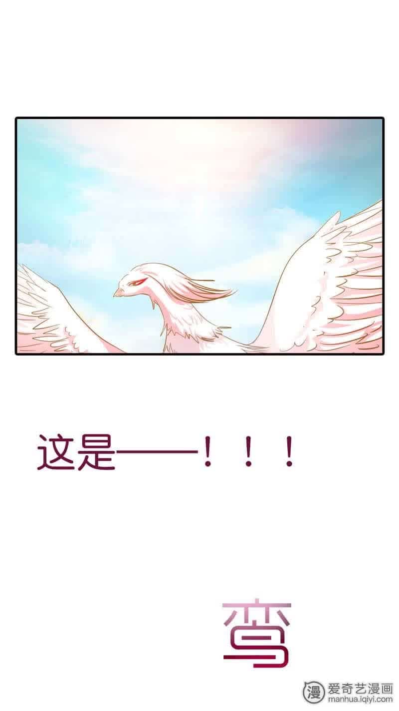 《这个神兽有点萌》漫画最新章节第69话免费下拉式在线观看章节第【3】张图片