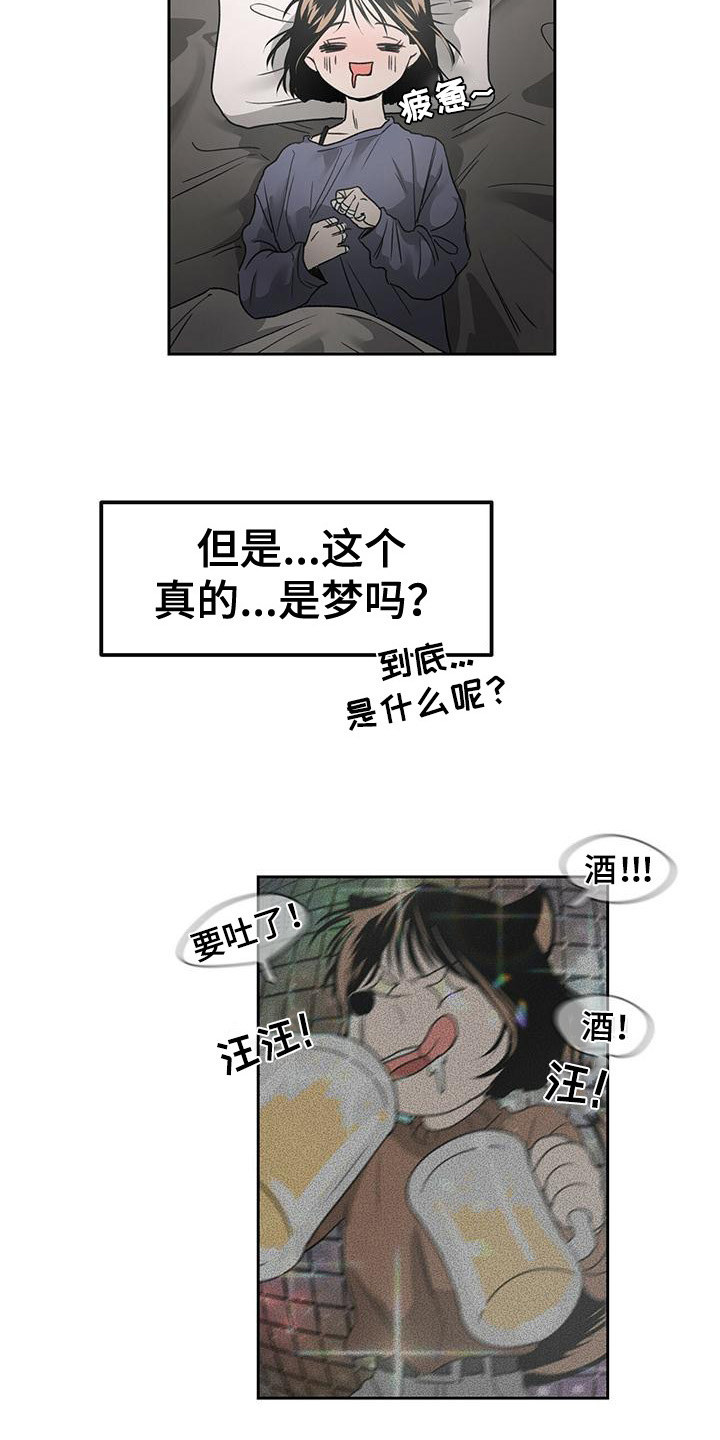 《毛茸茸奇遇》漫画最新章节第2章：陌生房间免费下拉式在线观看章节第【6】张图片