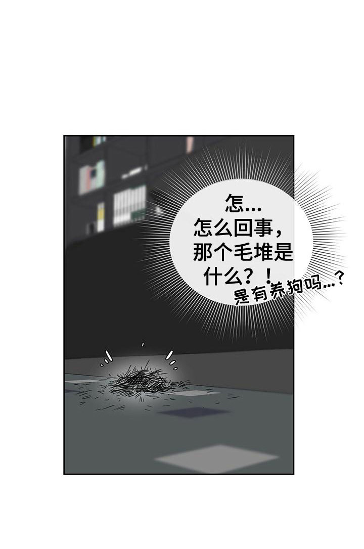 《毛茸茸奇遇》漫画最新章节第2章：陌生房间免费下拉式在线观看章节第【1】张图片