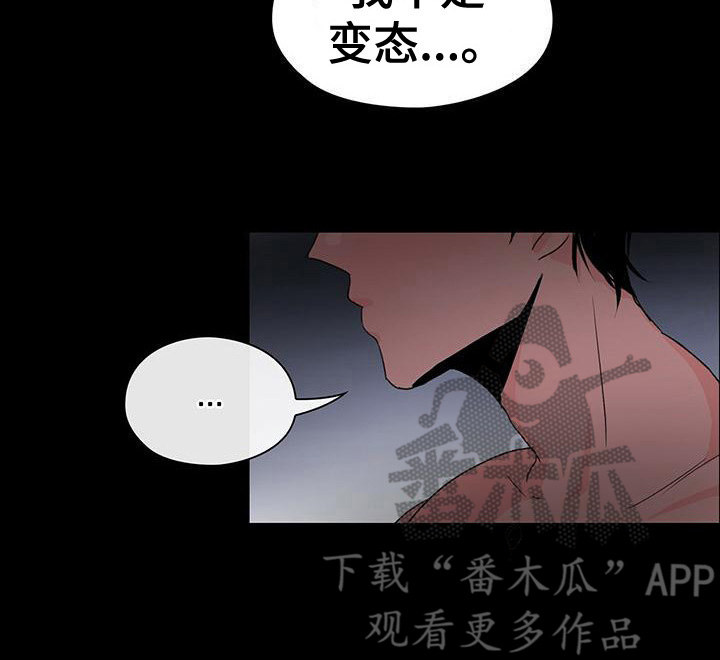 《毛茸茸奇遇》漫画最新章节第9章：回忆免费下拉式在线观看章节第【6】张图片