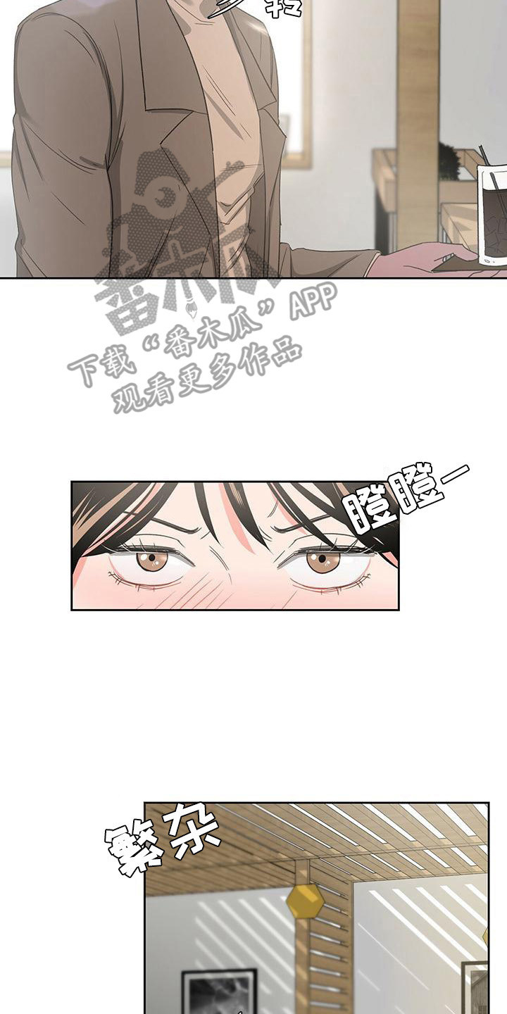 《毛茸茸奇遇》漫画最新章节第11章：协商免费下拉式在线观看章节第【8】张图片