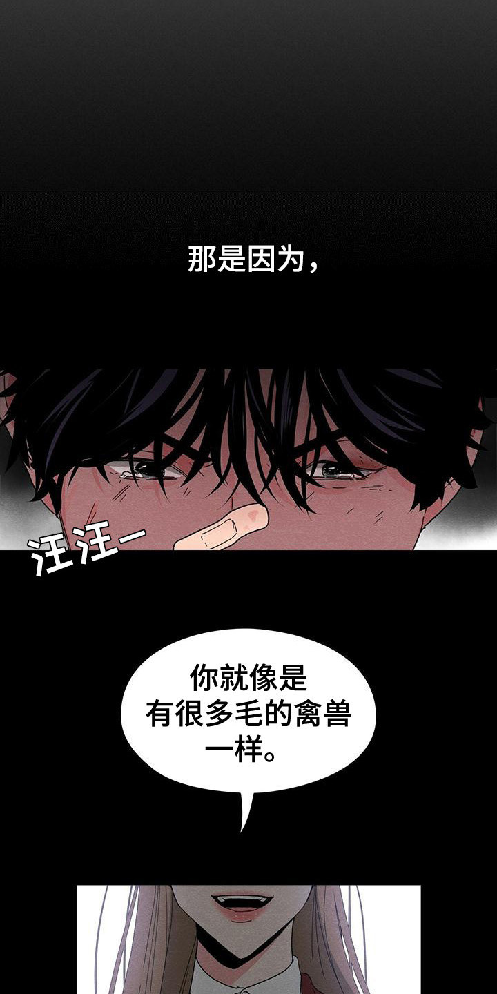 《毛茸茸奇遇》漫画最新章节第18章：心结免费下拉式在线观看章节第【13】张图片