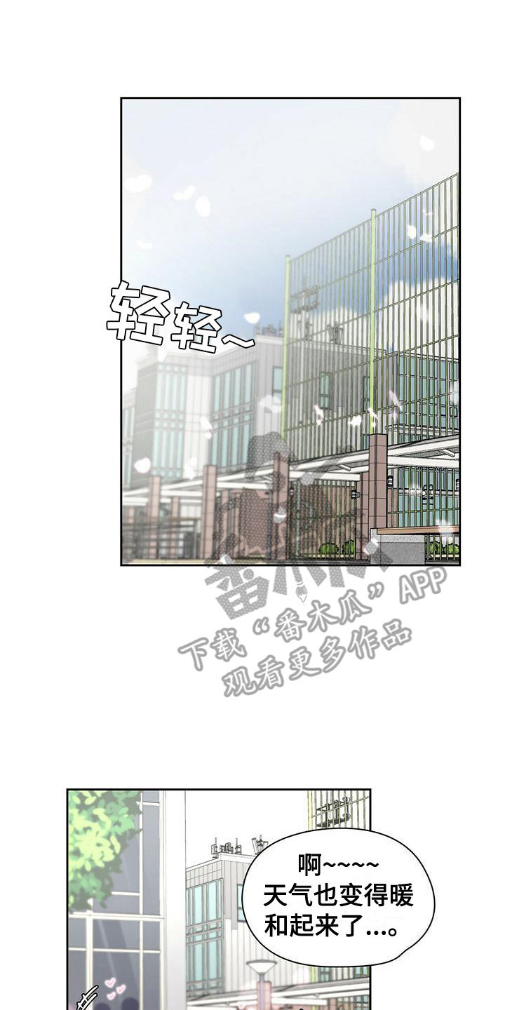 《毛茸茸奇遇》漫画最新章节第20章：议论纷纷免费下拉式在线观看章节第【11】张图片