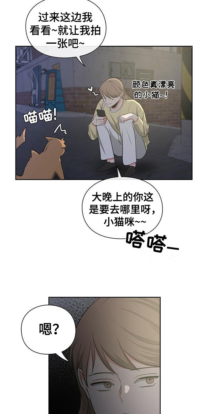 《毛茸茸奇遇》漫画最新章节第38章： 阴魂不散免费下拉式在线观看章节第【9】张图片