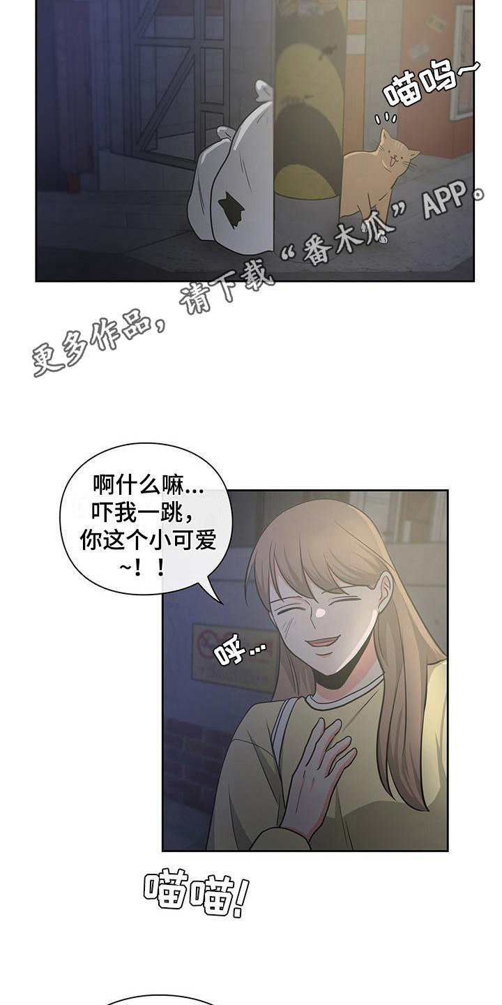 《毛茸茸奇遇》漫画最新章节第38章： 阴魂不散免费下拉式在线观看章节第【10】张图片