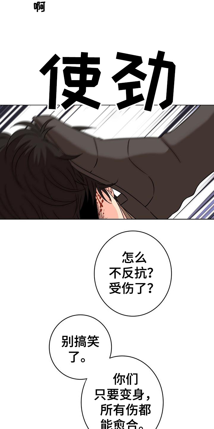 《怪物恋曲》漫画最新章节第1章：抓捕行动免费下拉式在线观看章节第【18】张图片