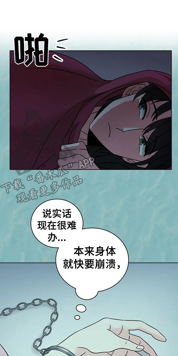 《怪物恋曲》漫画最新章节第7章：龟裂消失 免费下拉式在线观看章节第【11】张图片