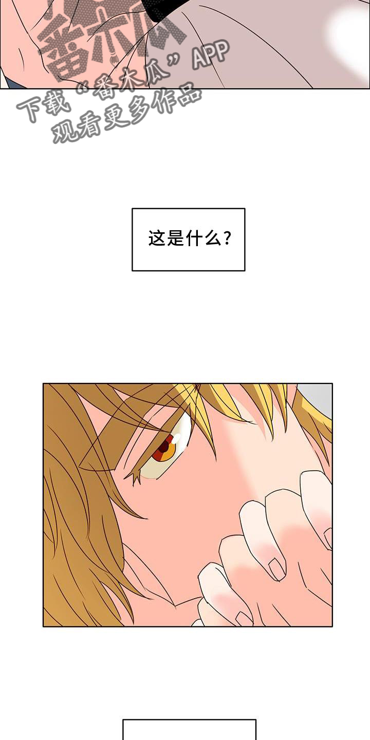 《怪物恋曲》漫画最新章节第41章：不正常免费下拉式在线观看章节第【21】张图片