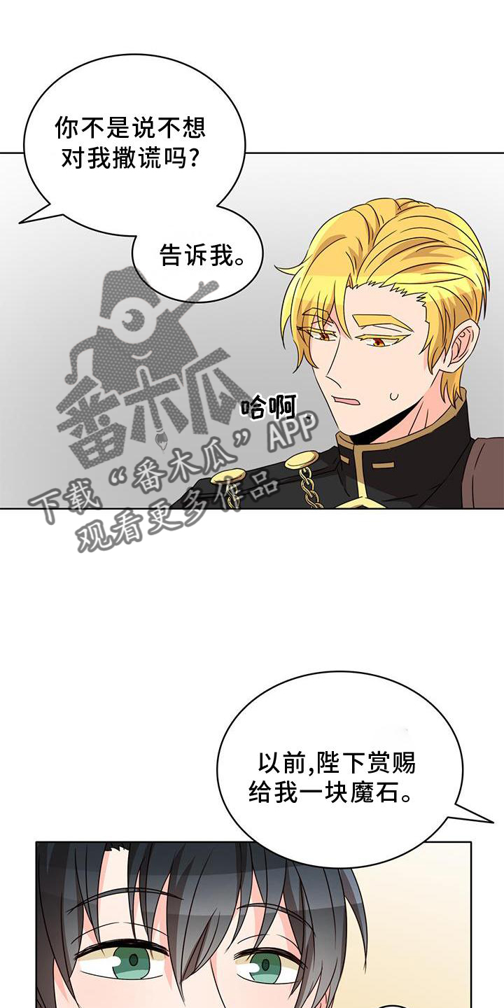 《怪物恋曲》漫画最新章节第42章：魔石免费下拉式在线观看章节第【17】张图片