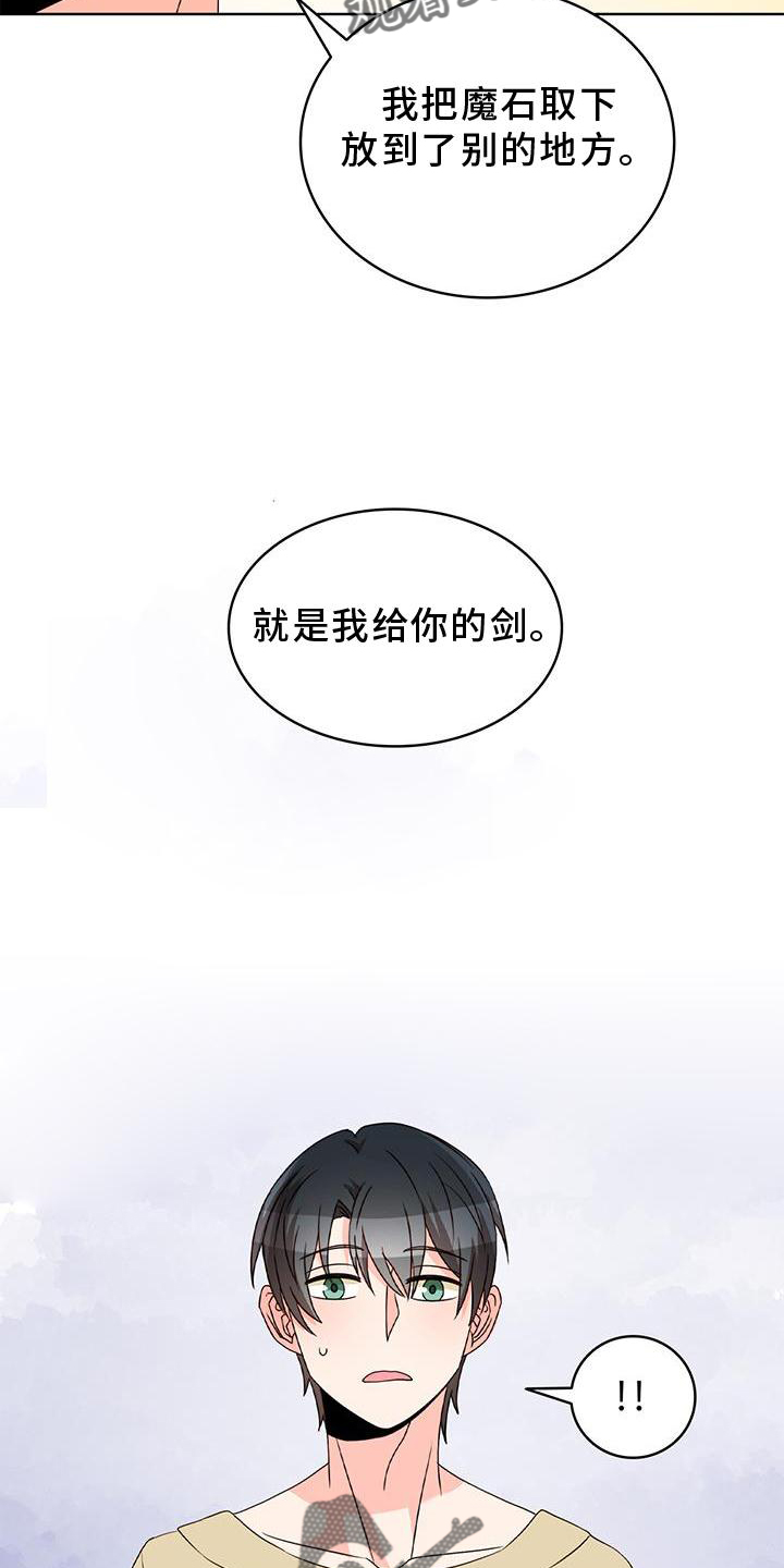 《怪物恋曲》漫画最新章节第42章：魔石免费下拉式在线观看章节第【15】张图片