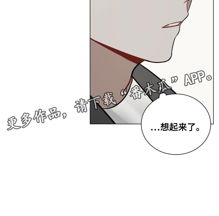 《八年后的重逢》漫画最新章节第50章：理想的恋人免费下拉式在线观看章节第【1】张图片