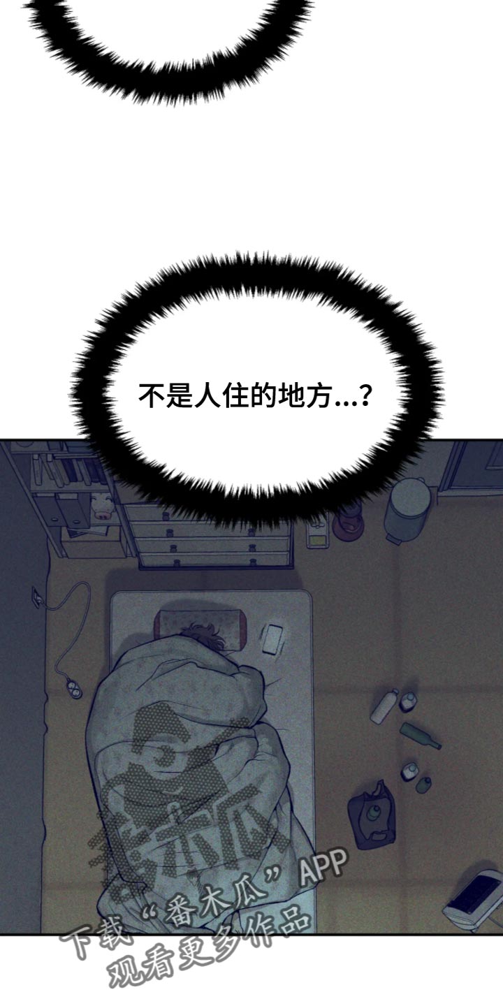 《危险遭遇》漫画最新章节第27章：狼狈免费下拉式在线观看章节第【5】张图片