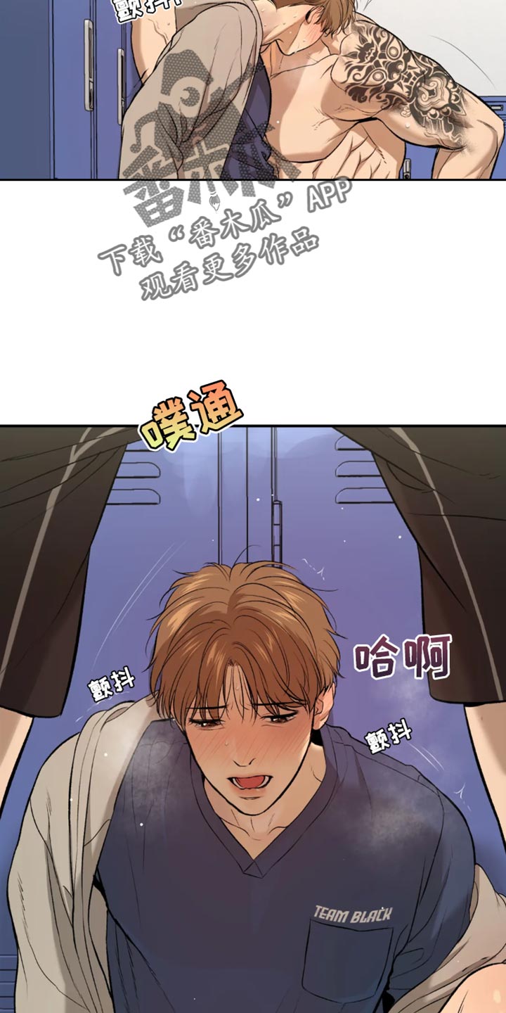 《危险遭遇》漫画最新章节第40章：和平时不一样免费下拉式在线观看章节第【4】张图片