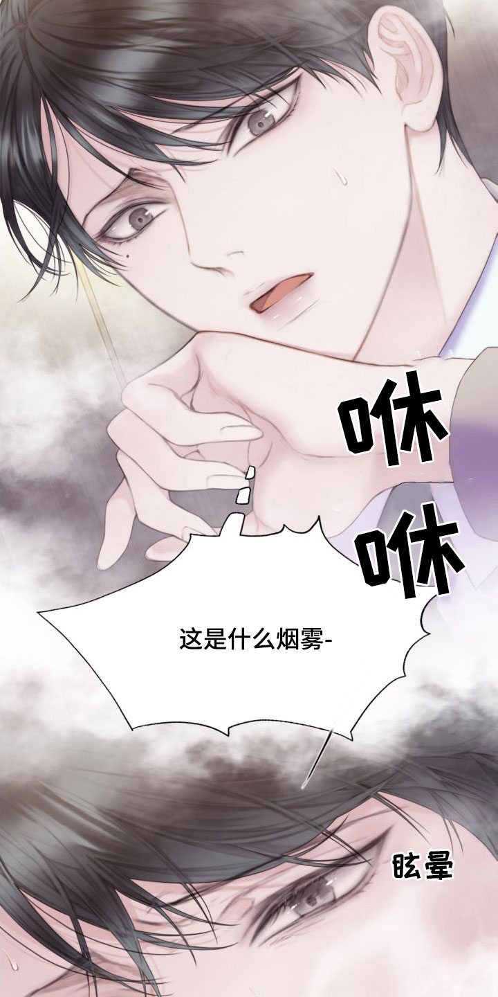 《致命咨询》漫画最新章节第26章：烟雾免费下拉式在线观看章节第【5】张图片