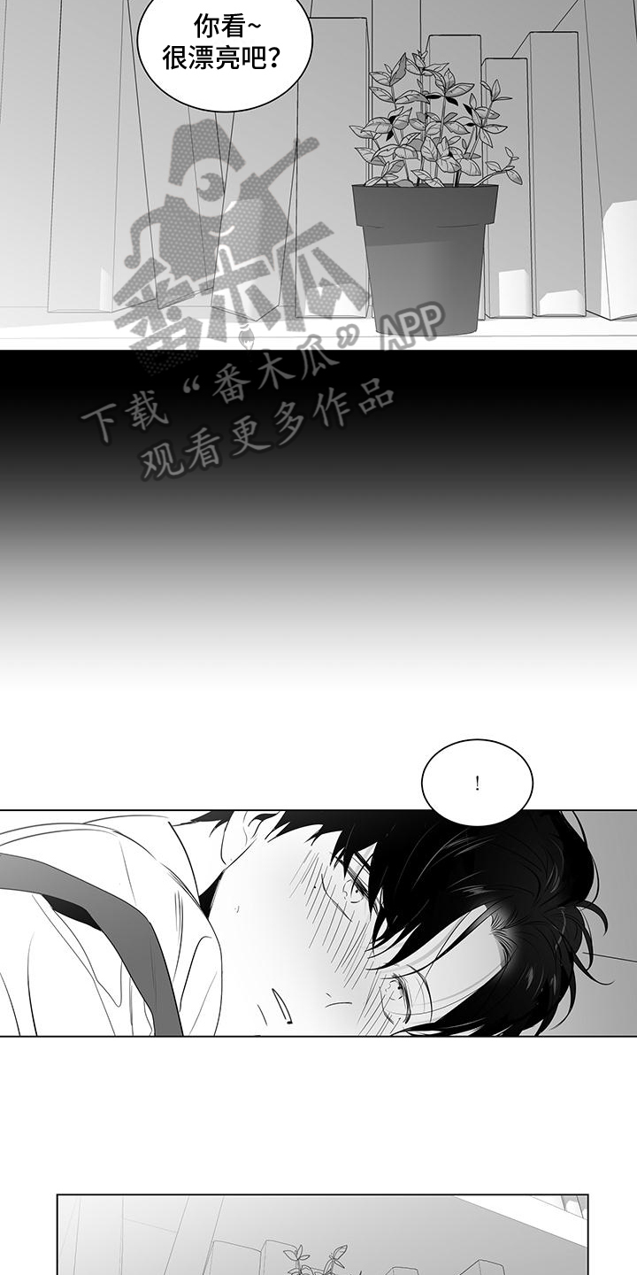 《亲爱的男孩》漫画最新章节第10章：装饰免费下拉式在线观看章节第【6】张图片