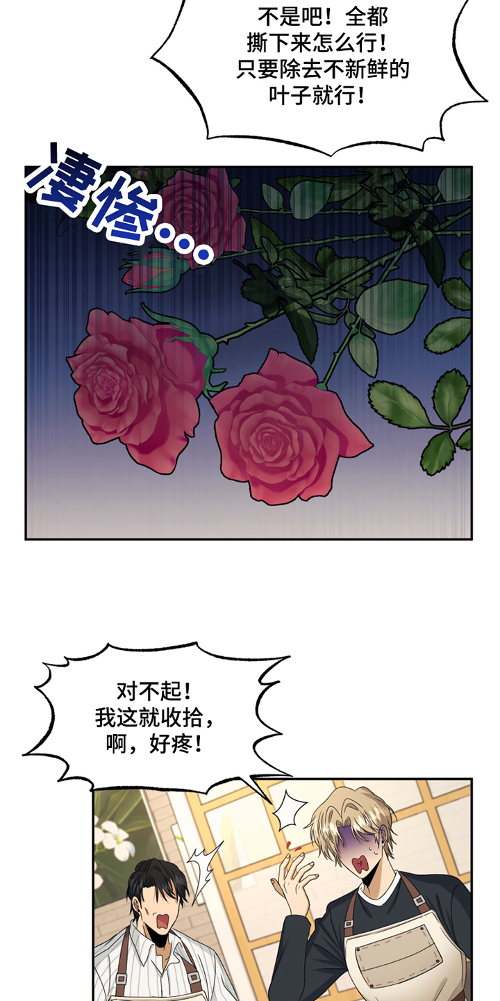 《花店奇缘》漫画最新章节第3章：应聘免费下拉式在线观看章节第【7】张图片