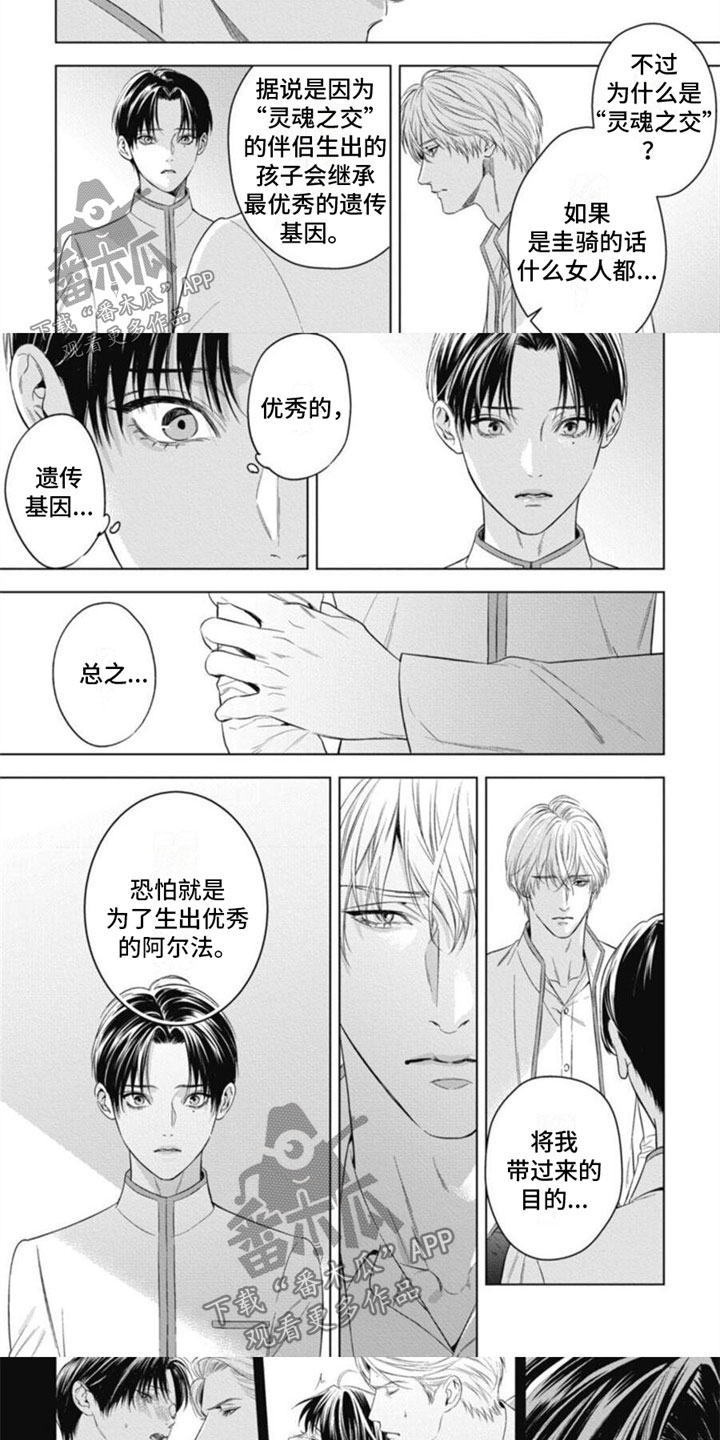 《阿尔法的花嫁》漫画最新章节第33章：被利用免费下拉式在线观看章节第【4】张图片