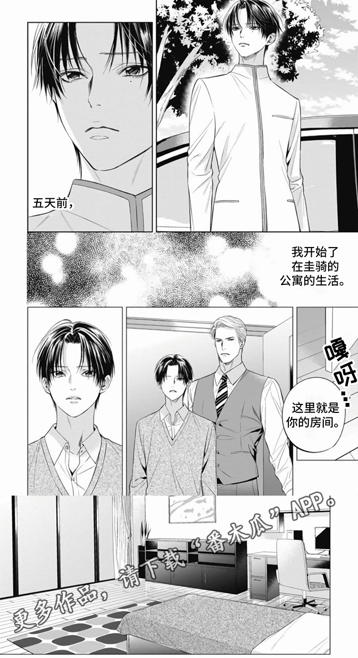 《阿尔法的花嫁》漫画最新章节第9章：同意免费下拉式在线观看章节第【1】张图片