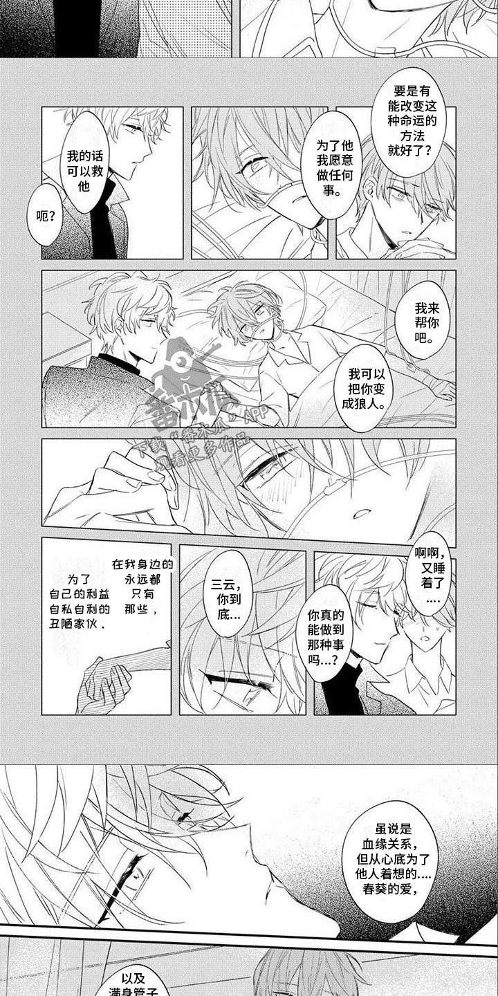 《狼人当道》漫画最新章节第25章：命运免费下拉式在线观看章节第【4】张图片