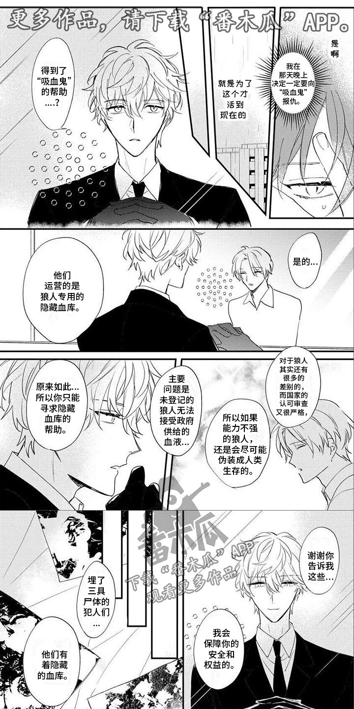 《狼人当道》漫画最新章节第19章：遇刺免费下拉式在线观看章节第【4】张图片