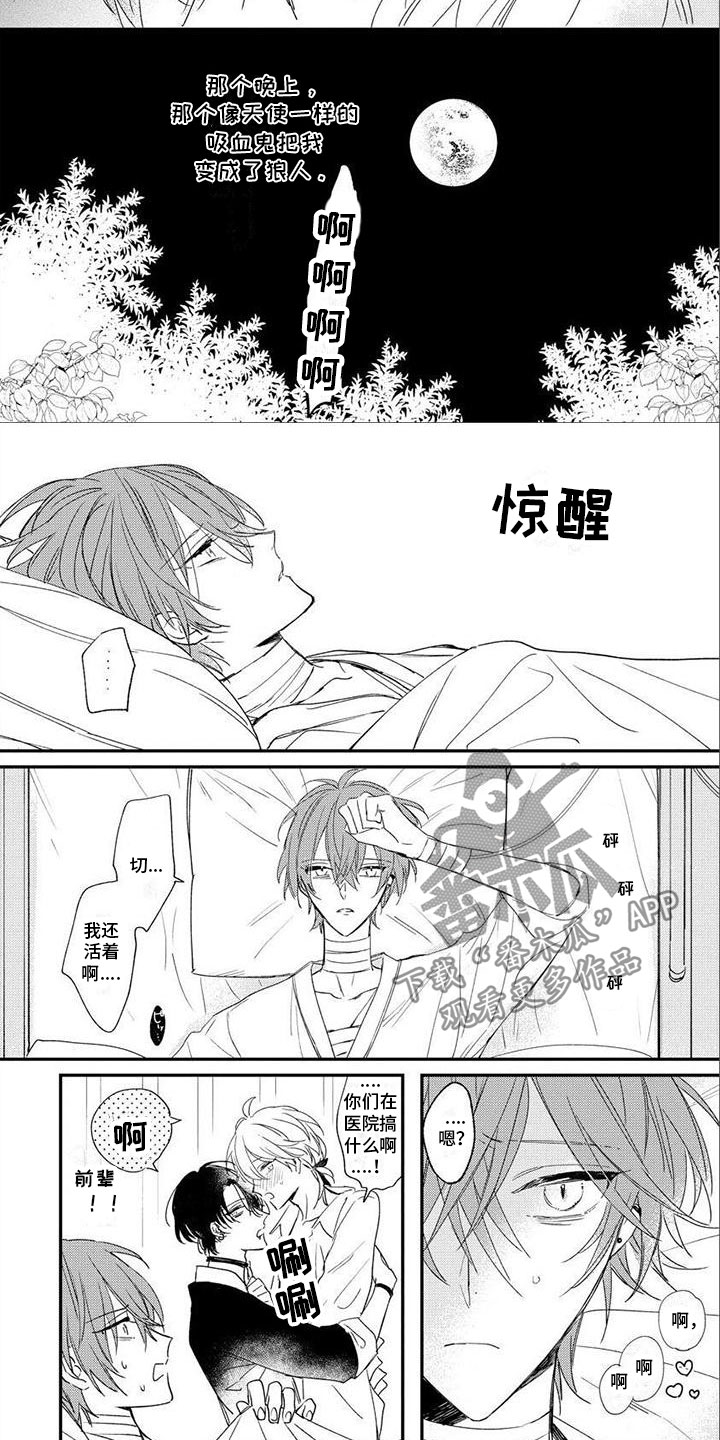 《狼人当道》漫画最新章节第17章：小时候免费下拉式在线观看章节第【3】张图片