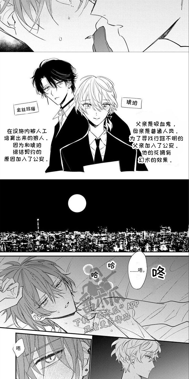 《狼人当道》漫画最新章节第11章：喝吗？免费下拉式在线观看章节第【4】张图片