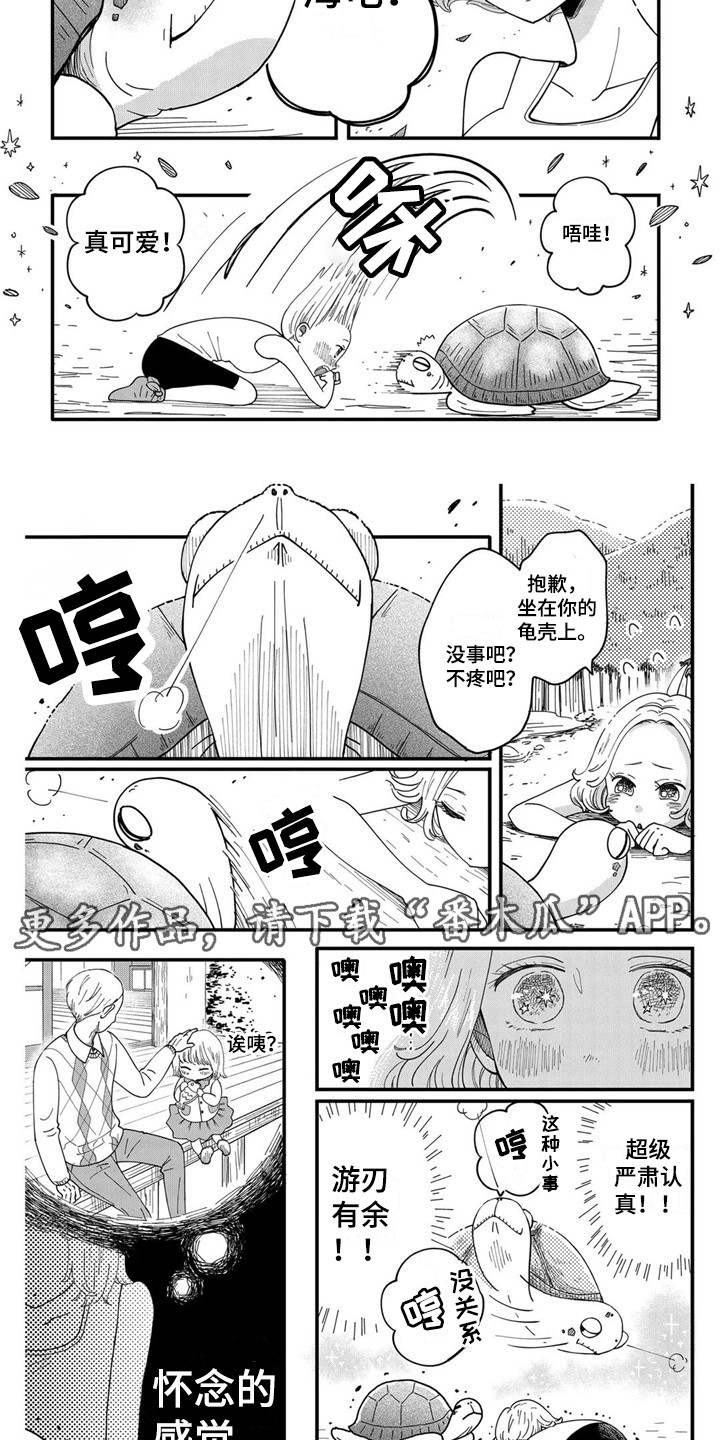 《荒岛事务所》漫画最新章节第7章：海龟免费下拉式在线观看章节第【6】张图片