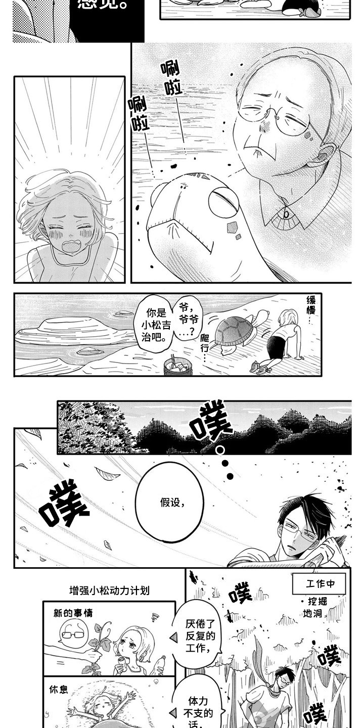 《荒岛事务所》漫画最新章节第7章：海龟免费下拉式在线观看章节第【5】张图片