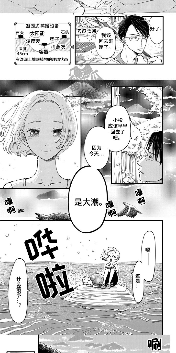 《荒岛事务所》漫画最新章节第7章：海龟免费下拉式在线观看章节第【3】张图片