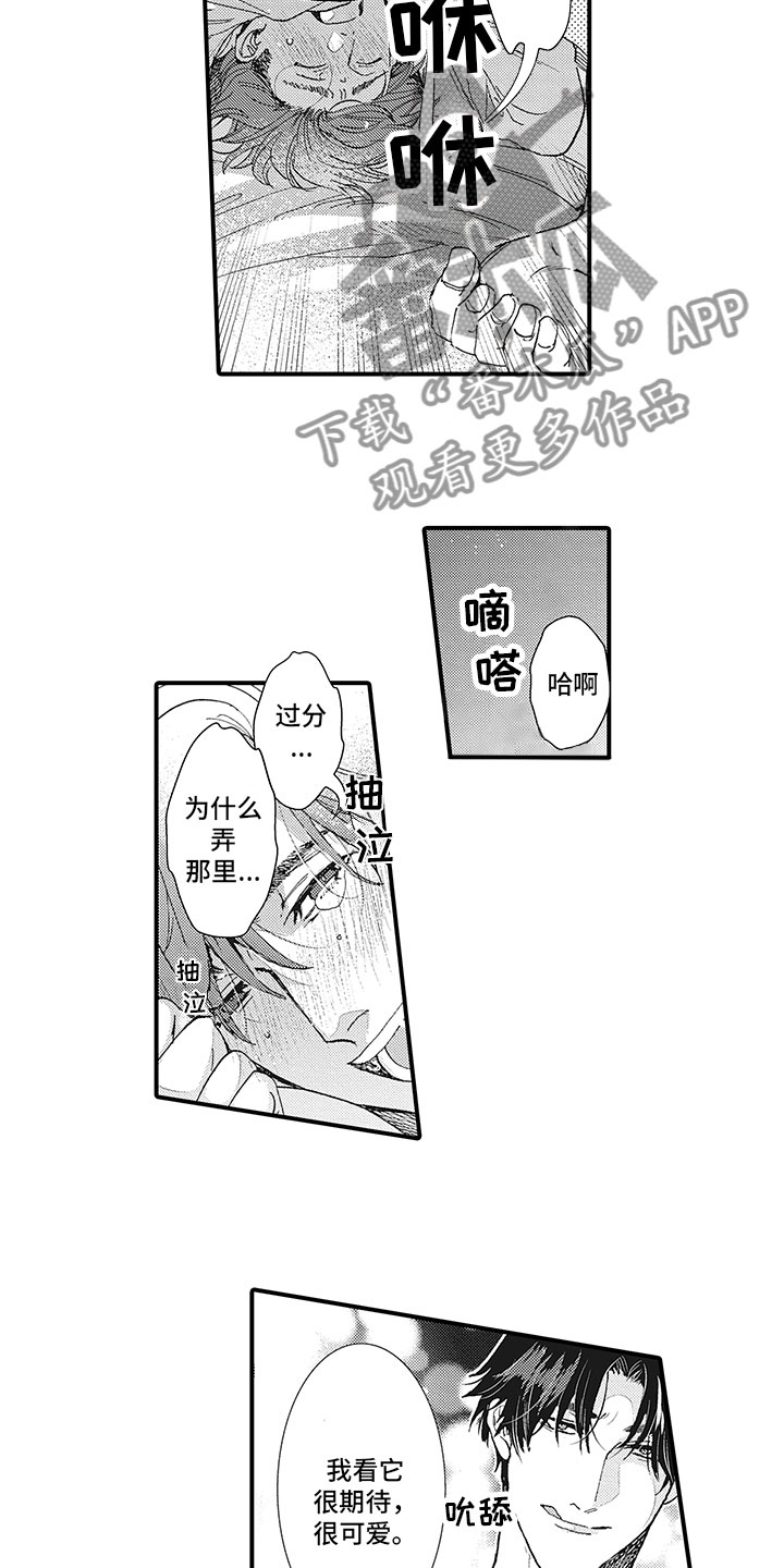 《像王子一样的男人》漫画最新章节第27章：最后一步免费下拉式在线观看章节第【7】张图片