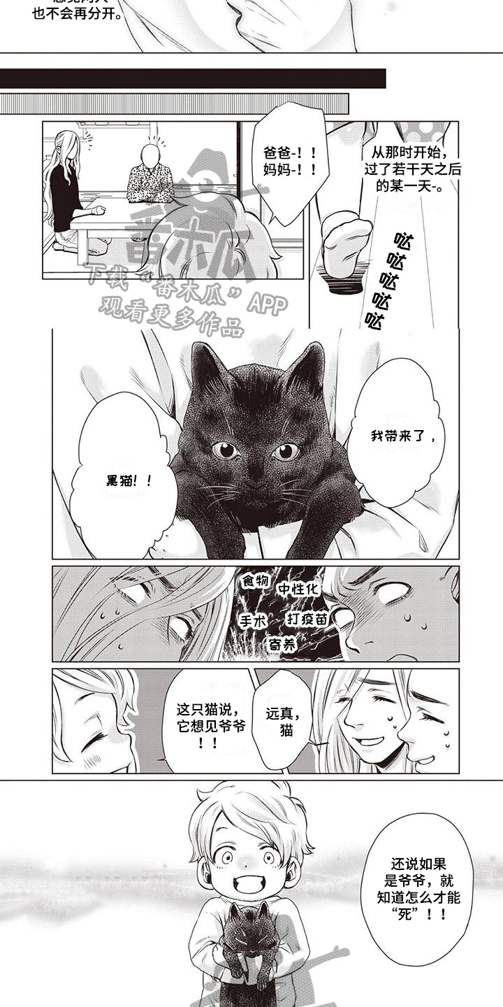 《九尾狐和继任者》漫画最新章节第30章：【第二季】懵懂免费下拉式在线观看章节第【3】张图片